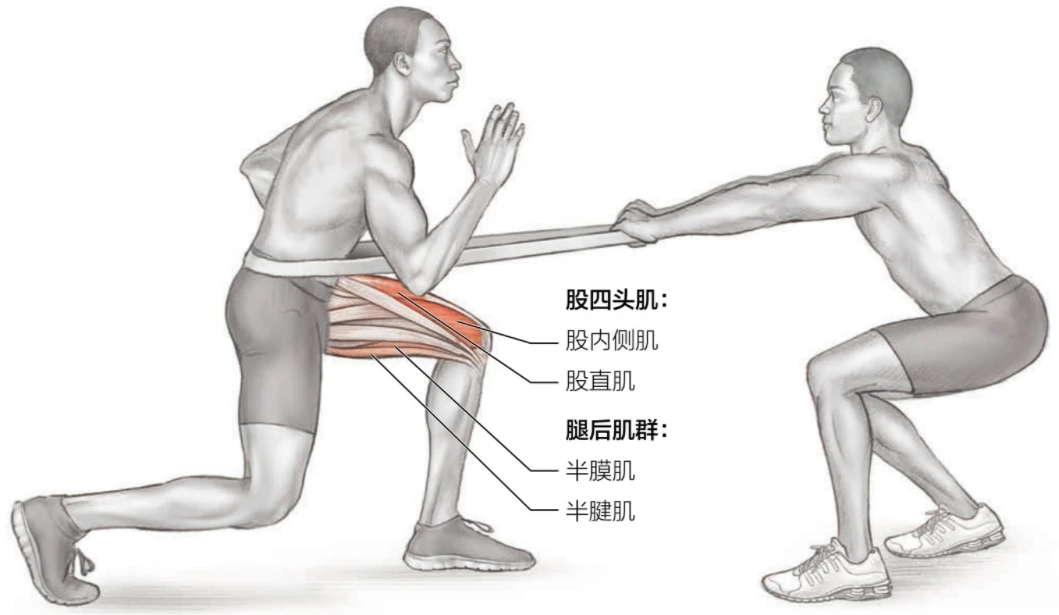 为什么篮球后卫需要特别的体能训练_0